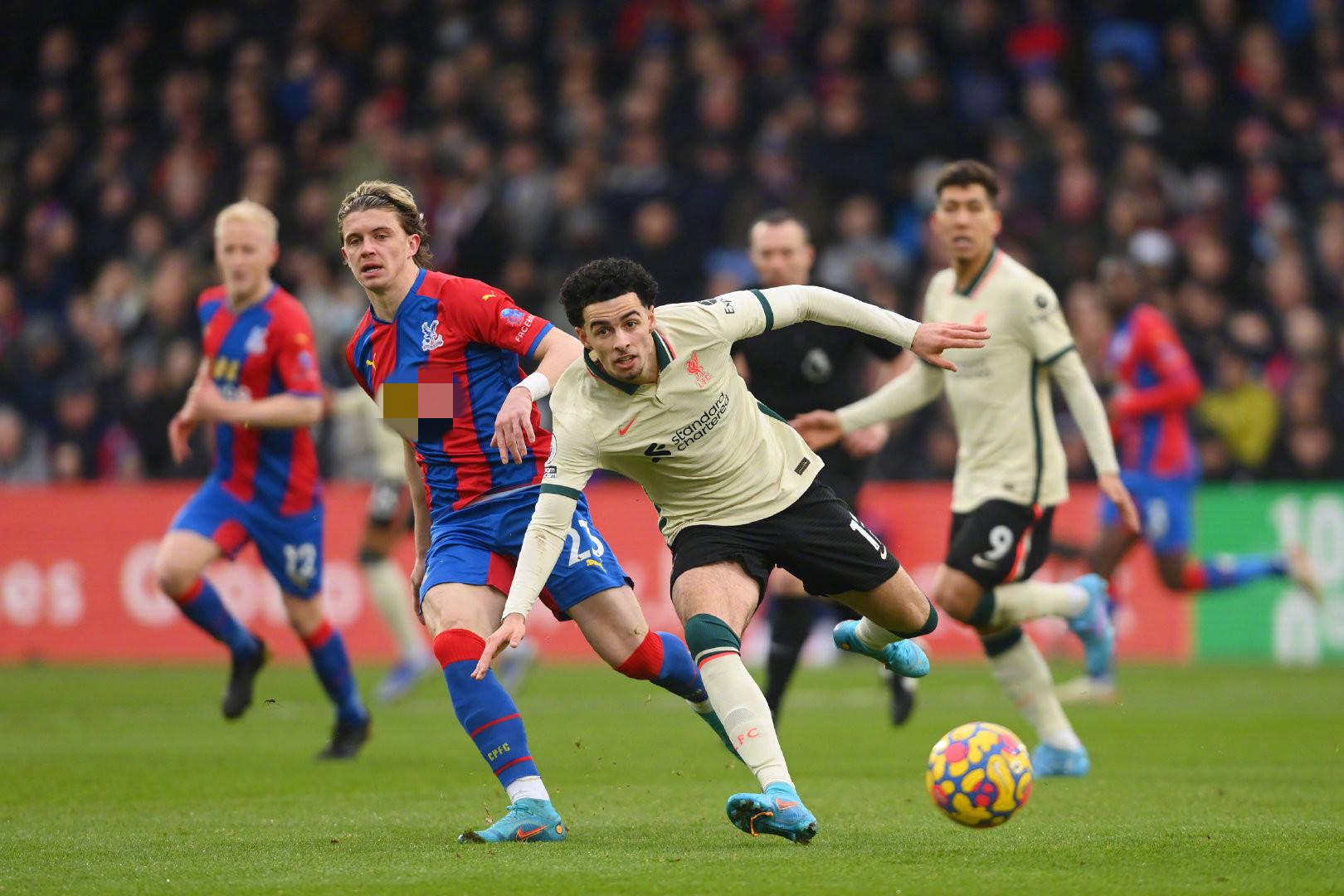 港队的教练 港队的教练